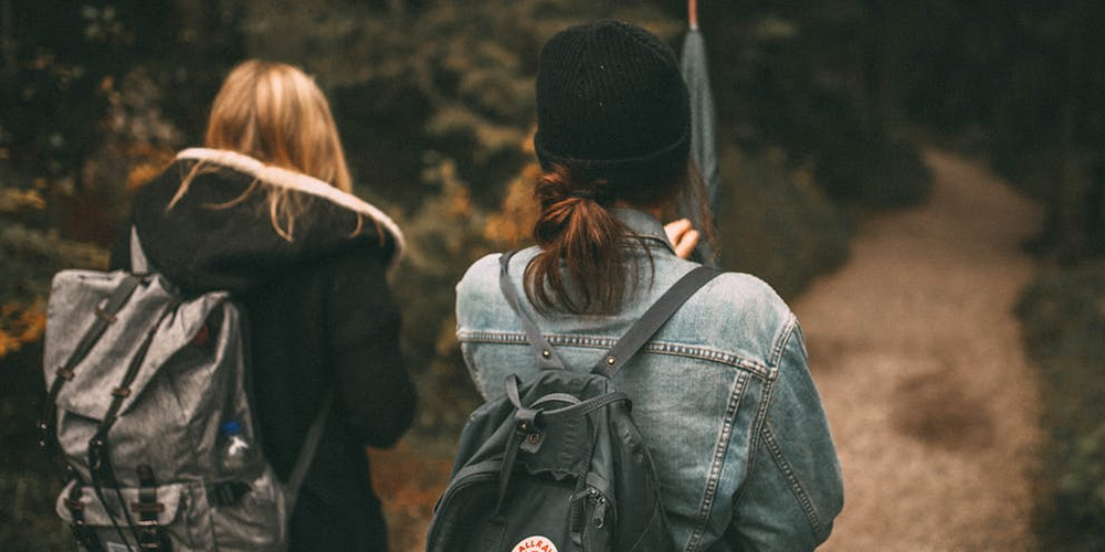Stock photo friendship Pexels https://www.pexels.com/photo/backpack-environment-forest-friends-590798/